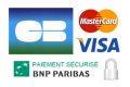 paiement par carte bancaire